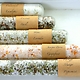 Assorted Bath Affirmations Set by Truly Aesthetic 1
