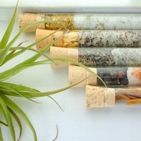 Assorted Bath Affirmations Set by Truly Aesthetic 2