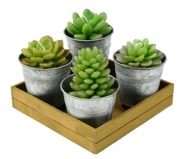 Potted_succulent_candles_by_roost_1-sixhundred