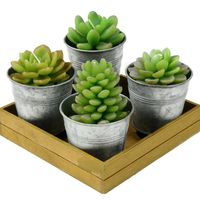 Potted Succulent Candles by Roost 1