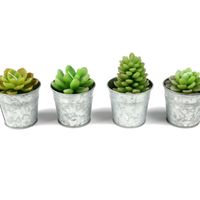 Potted Succulent Candles by Roost 2