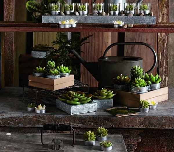 Potted_succulent_candles_by_roost_3-sixhundred