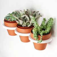 Three-Ring Mountable Planter 1