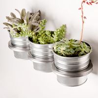 Three-Ring Mountable Planter 10