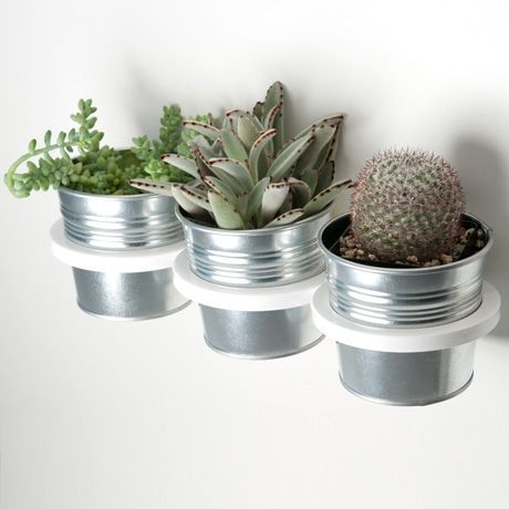 Three-ring_mountable_planter_2-sixhundred