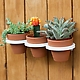 Three-Ring Mountable Planter 3
