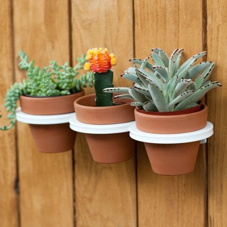 Three-ring_mountable_planter_3-sixhundred