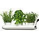 Sagaform Trio Herb Pot