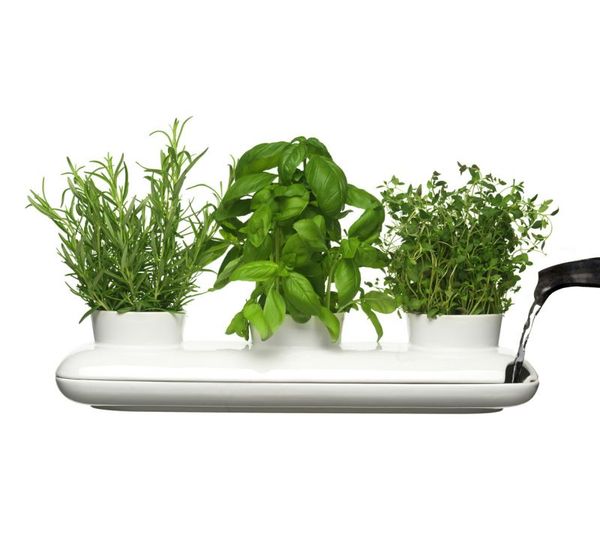 Sagaform Trio Herb Pot