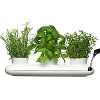 Sagaform Trio Herb Pot
