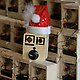 Voice Recorder by Brandnewnoise 4