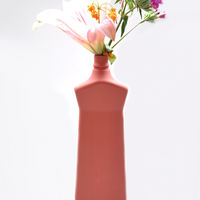Dish Detergent Bottle Vase 1