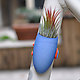 Bike Planter 1