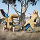 Alite S.H. Sleeping Bag 4