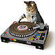 Cat Scratch Turntable 6