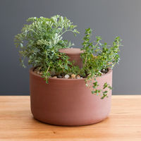 Self-Watering Planter by Joey Roth 4