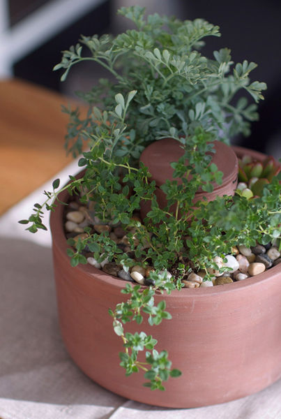 Self-watering_planter_by_joey_roth_8-sixhundred