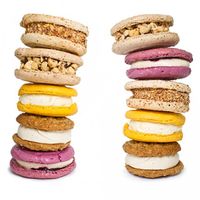 Jeni's Ice Cream Sandwiches – Pack of 10 2
