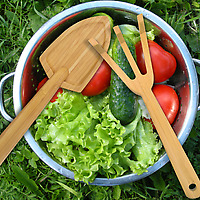 Fred Bamboo Garden Salad Tools with a bowl of salad