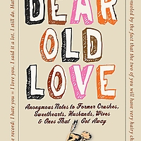 Dear Old Love by Andy Selsberg book cover