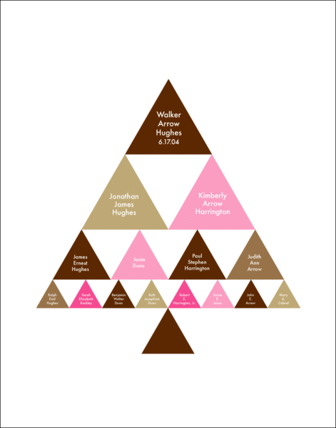 Super_mod_tree_custom_geneology_chart_pink_and_brown-sixhundred