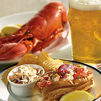 Hancock Gourmet Lobster Co. Downeast Lobster Rolls