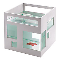 Umbra Fish Condo front view