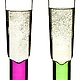 Sagaform CLUB Champagne Glasses - Set of 2 Pink and Green