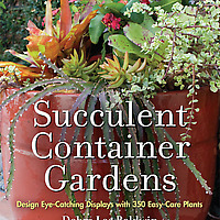 Succulent Container Gardens: Design Eye-Catching Displays with 350 Easy-Care Plants book cover